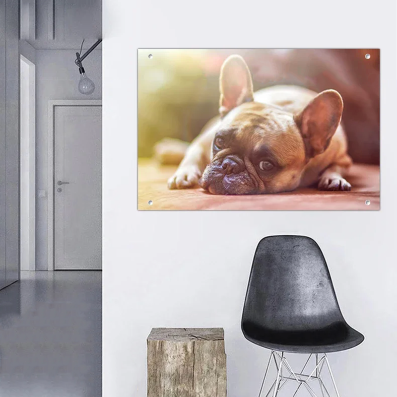 Mémoire Murale™ – vos souvenirs sur vos murs!